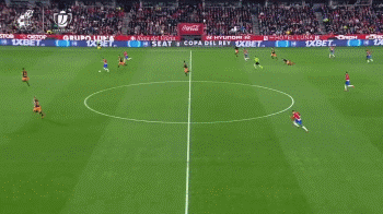 博彩公司宠物友好办公室政策